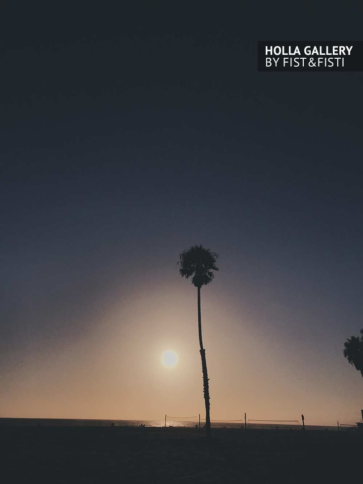 Пальма на берегу на фоне заката в Santa Monica. Фотокартина