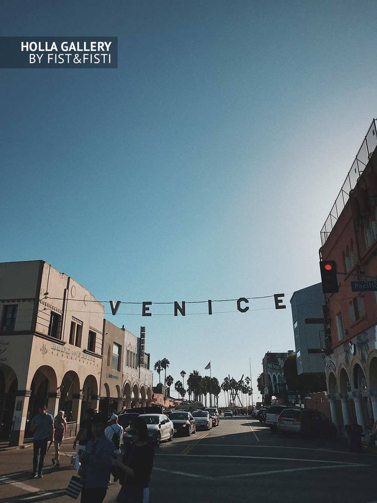 Venice Beach, USA, Los Angeles, пальмы. Фото картина