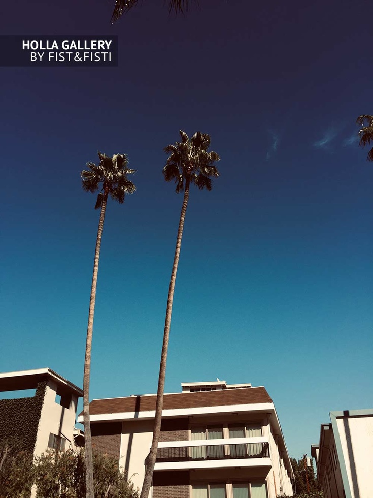 Beverly Hills, пальмы, небо, отель