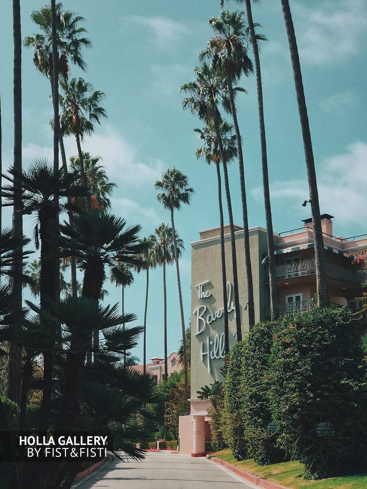 Beverly Hills, отель, пальмы, солнце