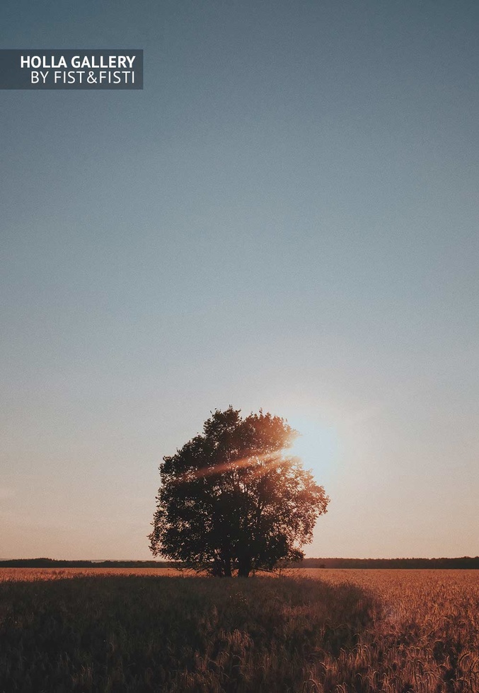 Одинокое дерево на закате фото для интерьера, фото картина