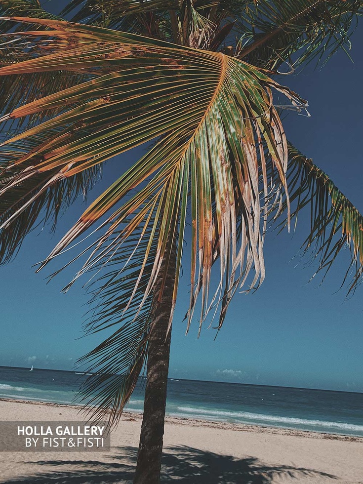 Пальмовые листья на пляже бескрайнего океана. Фото постер на стену