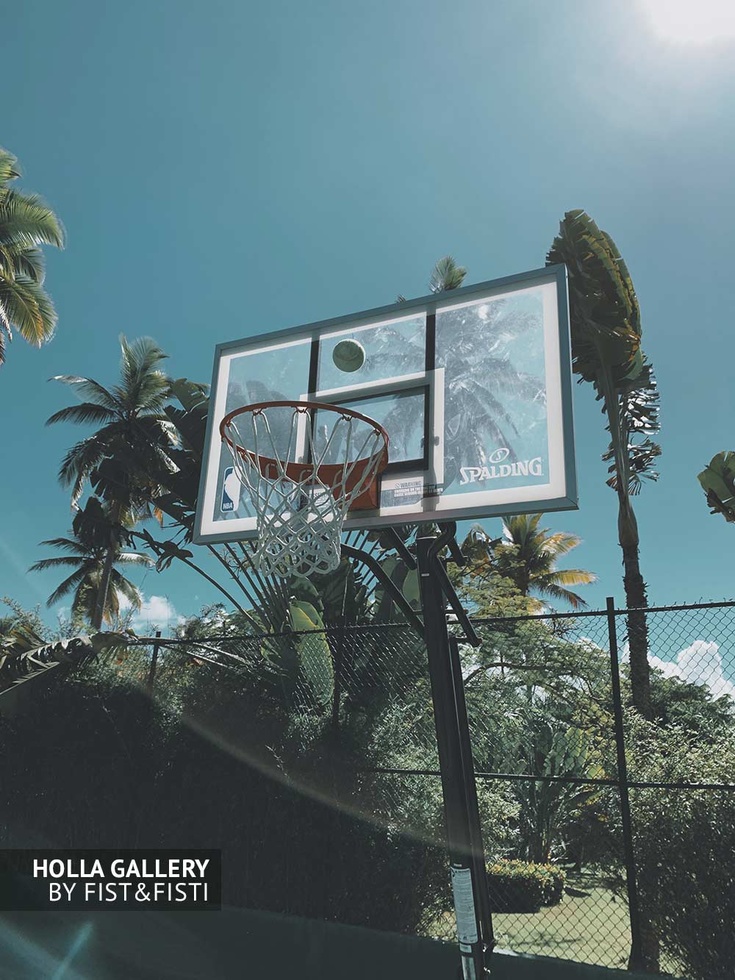 Теннисный мяч летит в баскетбольное кольцо на фоне летнего солнца и пальм