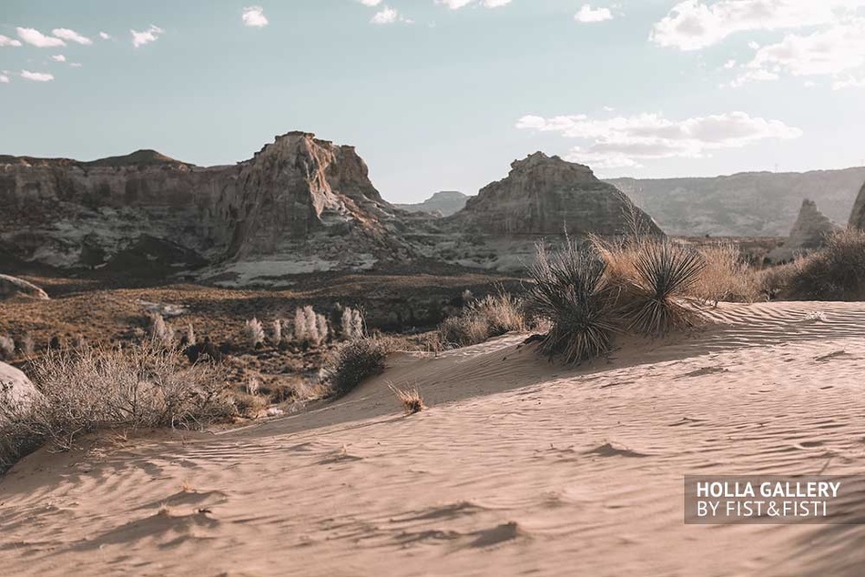 Кустарники и скалы в пустыне Utah