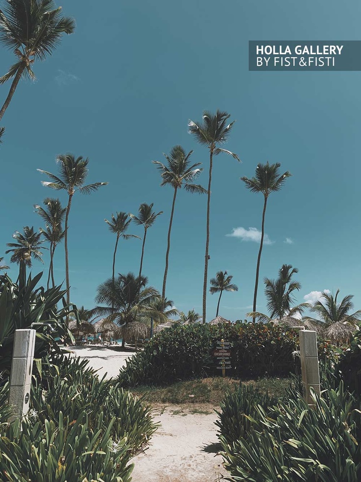 Тропические пальмы на фоне летнего неба. Вход на песчаный пляж