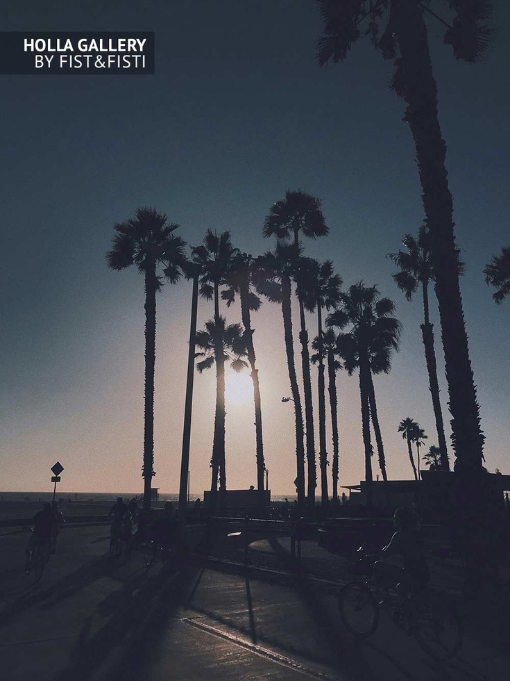 Santa Monica, Venice, пальмы, закат, солнце, велосипеды, пляж