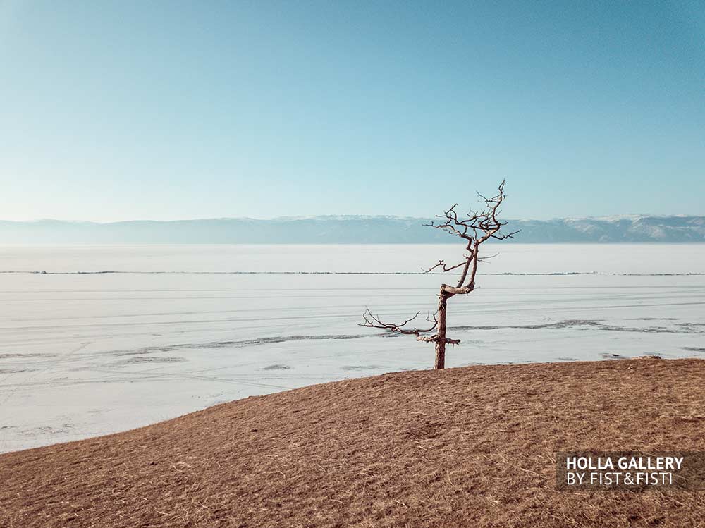 Дерево на озере Байкал, зимний Байкал, замерзшее озеро. Остров Ольхон. Плакат на стену с Байкалом