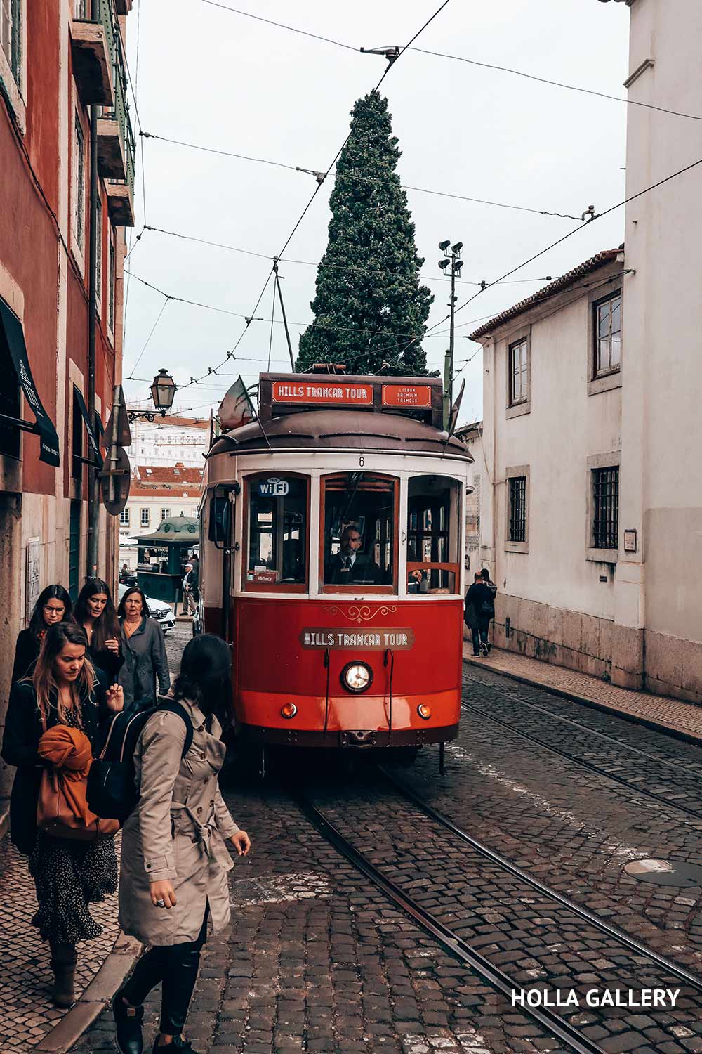 Елка и трамвай на улице Лиссабона