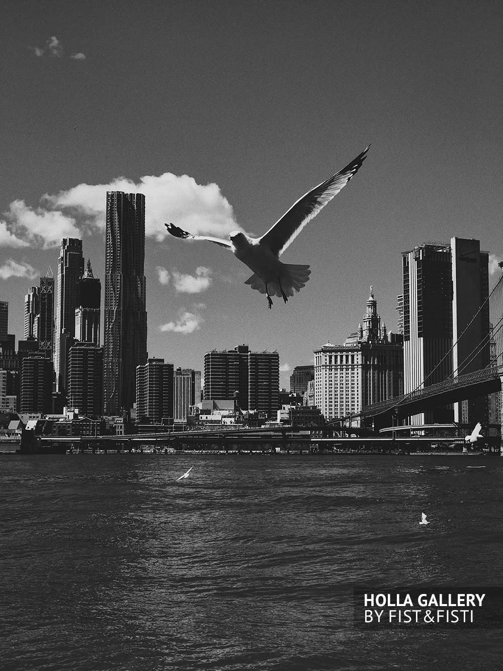 Чайка над Нью-Йорком. Черно-белые принты