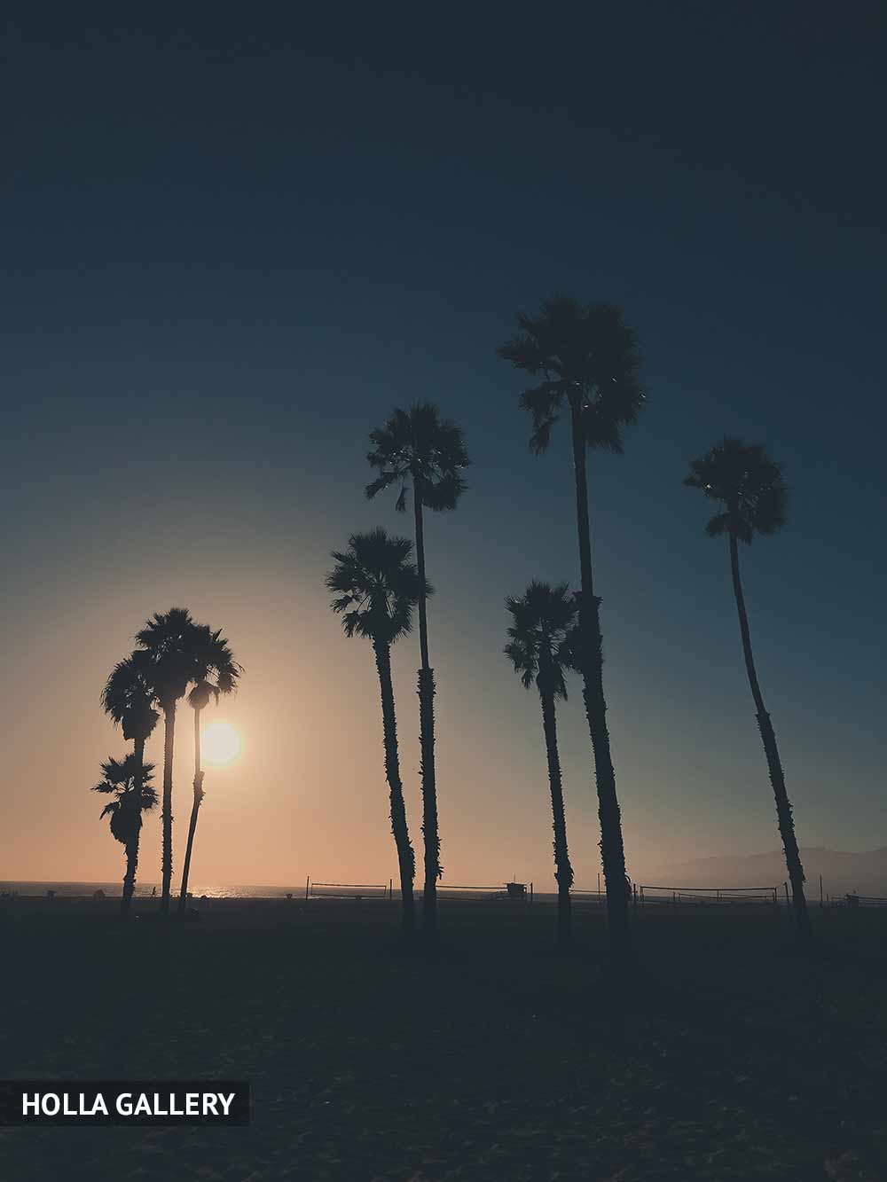 Пальмы на горизонте во время заката