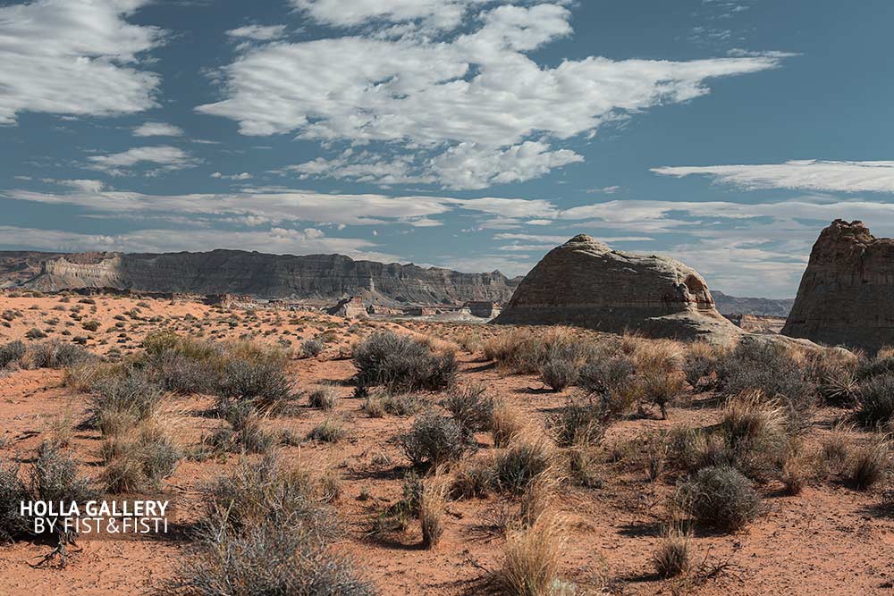 Кустарники в национальном парке штата Utah. Скалы и небо над пустыней.